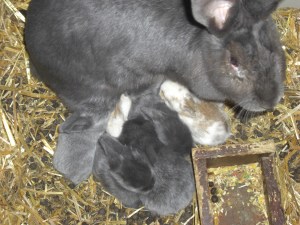 Zie je dat witte stipje in het midden? Dat ben ik! 