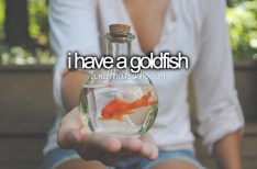 tumblr_m9y29kDeLE1rogngso1_r1_500