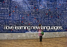 tumblr_m6f9vcw4Fq1rogngso1_500