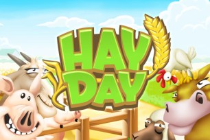 hay-day