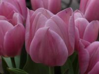 226114_136036083153806_5159558_n