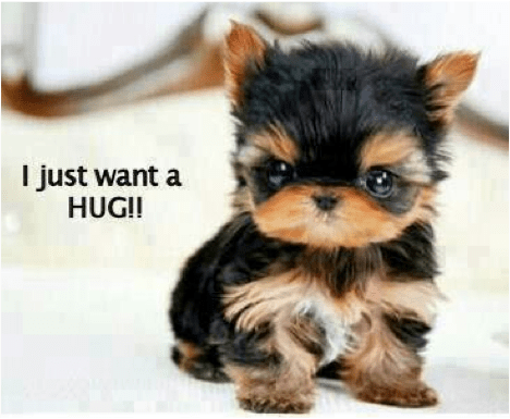 i-just-want-a-hug