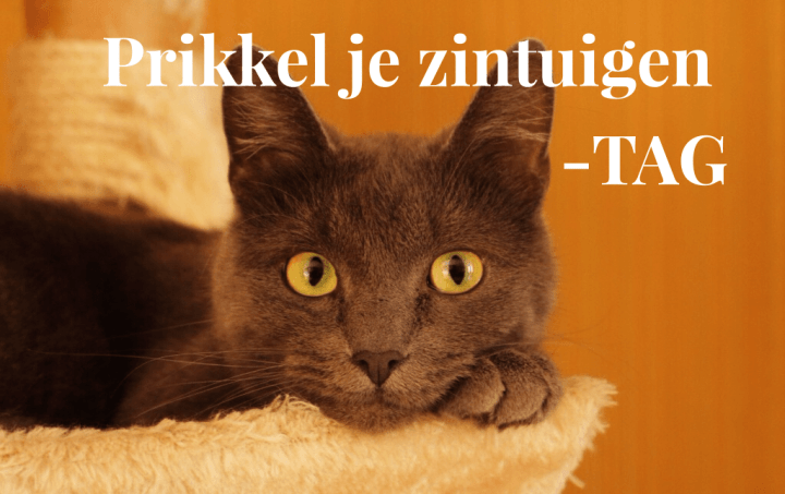 Prikkel-je-zintuigen-TAG-Tag-van-Sytse-Thesfiles