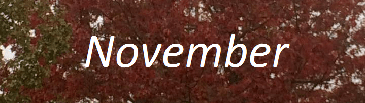 november