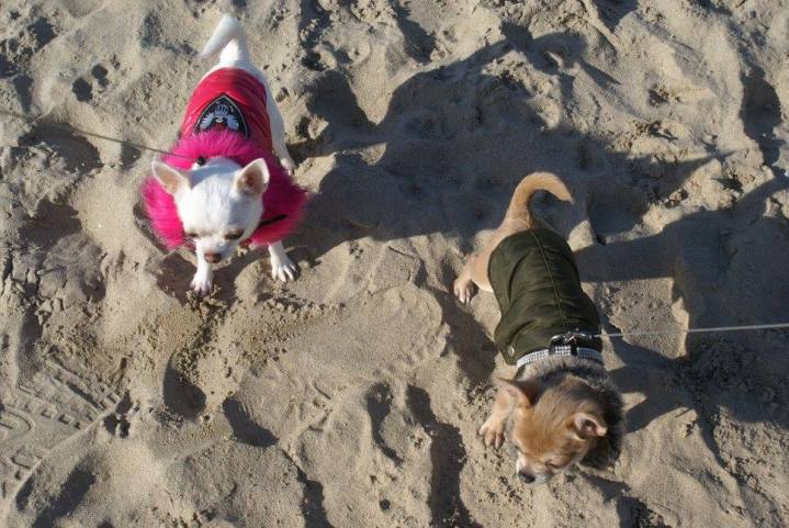 28071089_1647016605389072_478176691328906105_o