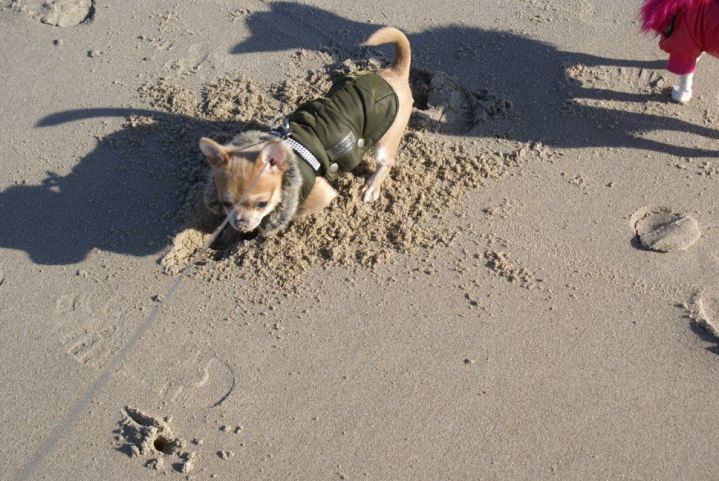 28161933_1647016378722428_453781701668678267_o