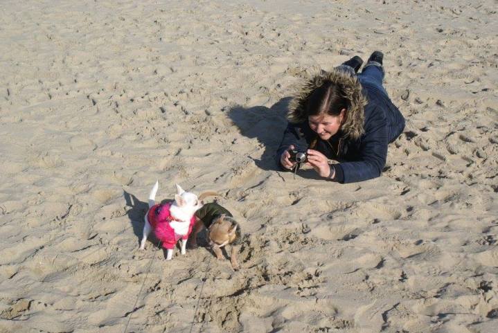 28161992_1647016838722382_3588545715210847157_o