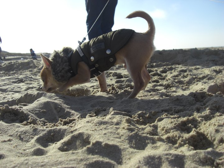 28162283_1647016958722370_4371524722851192727_o