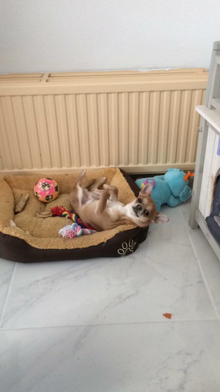 08b6515b-95e6-41f5-8208-66184b38b096