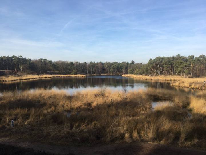 52144374_2125219824235412_7313568747984257024_o