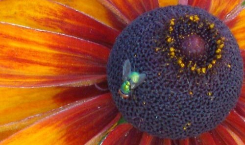 378765_188697987887615_793213595_n