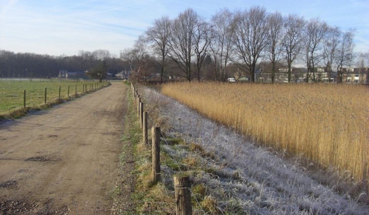 431767_222921567798590_1851467154_n